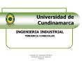 Universidad de Cundinamarca PowerPoint PPT Presentation