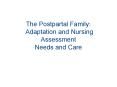 The Postpartal Family: Adaptation and Nursing Assessment Needs and Care PowerPoint PPT Presentation