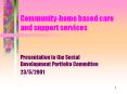 Community-home based care and support services PowerPoint PPT Presentation