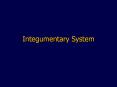 Integumentary%20System PowerPoint PPT Presentation