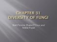Chapter 31 Diversity of fungi PowerPoint PPT Presentation