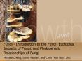Fungi - Introduction to the Fungi, Ecological Impacts of Fungi, and Phylogenetic Relationships of Fungi PowerPoint PPT Presentation