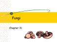 Fungi PowerPoint PPT Presentation