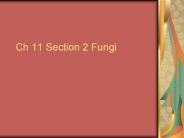 Ch 11 Section 2 Fungi