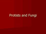 Protists and Fungi