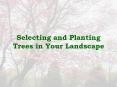 Selecting and Planting Trees in Your Landscape PowerPoint PPT Presentation