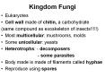 Kingdom Fungi PowerPoint PPT Presentation