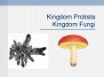 Kingdom Protista Kingdom Fungi PowerPoint PPT Presentation