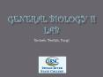 General Biology II Lab PowerPoint PPT Presentation