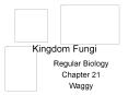 Kingdom Fungi PowerPoint PPT Presentation