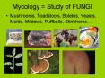 Mycology = Study of FUNGI PowerPoint PPT Presentation