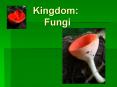 Kingdom:       Fungi PowerPoint PPT Presentation