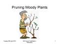Pruning Woody Plants PowerPoint PPT Presentation