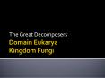 Domain Eukarya Kingdom Fungi PowerPoint PPT Presentation