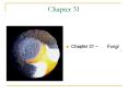 Chapter 31 ~    Fungi PowerPoint PPT Presentation