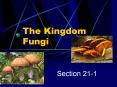 The Kingdom Fungi PowerPoint PPT Presentation