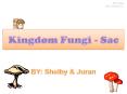 Kingdom Fungi - Sac PowerPoint PPT Presentation