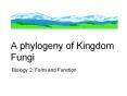 A phylogeny of Kingdom Fungi PowerPoint PPT Presentation