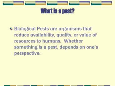 What is a pest?