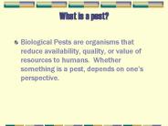 What is a pest?