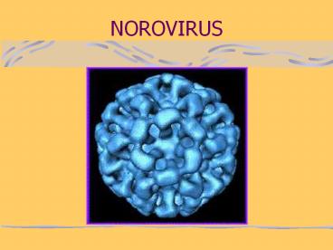 NOROVIRUS