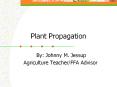 Plant Propagation PowerPoint PPT Presentation