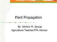 Plant Propagation