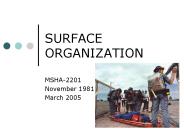SURFACE ORGANIZATION