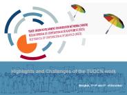 Highlights and Challenges of the TUDCN work