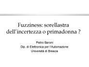 Fuzziness: sorellastra dell