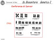 Conferenza di Denver