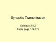 Synaptic Transmission PowerPoint PPT Presentation
