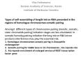 Types of self-assembling of length Intron RNA presented in the   regions of homologue chromosomes somatic pairing Amongst different types of chromosome pairing (meiotic, somatic, sister chromatids pairing) initiation stages are less elucidated. In PowerPoint PPT Presentation