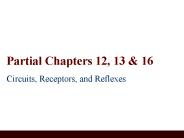 Partial Chapters 12, 13