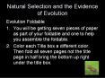 Natural Selection and the Evidence of Evolution PowerPoint PPT Presentation