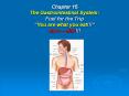 Chapter 15 The Gastrointestinal System: Fuel for the Trip  PowerPoint PPT Presentation