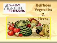 Heirloom%20Vegetables%20