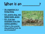 What is an __________?