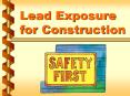 Lead Exposure for Construction PowerPoint PPT Presentation