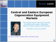 Central and Eastern European Cogeneration Equipment Markets