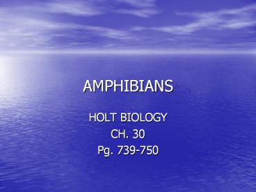 AMPHIBIANS