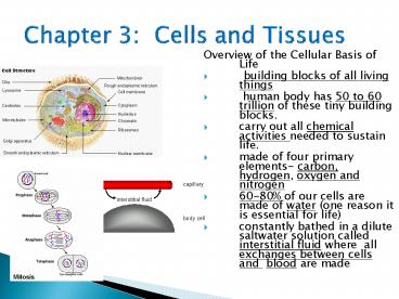 presentation player overlay