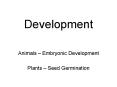 Development PowerPoint PPT Presentation