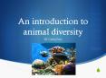 An introduction to animal diversity PowerPoint PPT Presentation