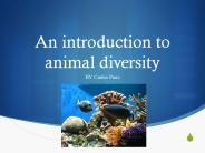 An introduction to animal diversity