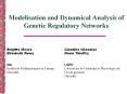 Modelisation and Dynamical Analysis of Genetic Regulatory Networks PowerPoint PPT Presentation