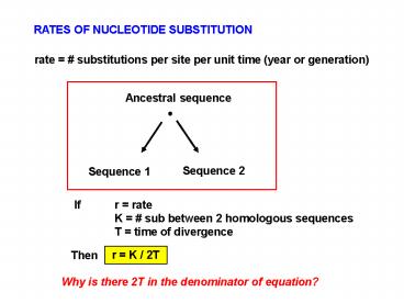 RATES OF NUCLEOTIDE SUBSTITUTION