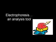 Agarose Gel Electrophoresis