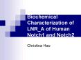 Biochemical Characterization of LNR_A of Human Notch1 and Notch2 PowerPoint PPT Presentation