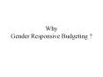 Why Gender Responsive Budgeting ? PowerPoint PPT Presentation